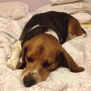 Meet your Posher, Nisha